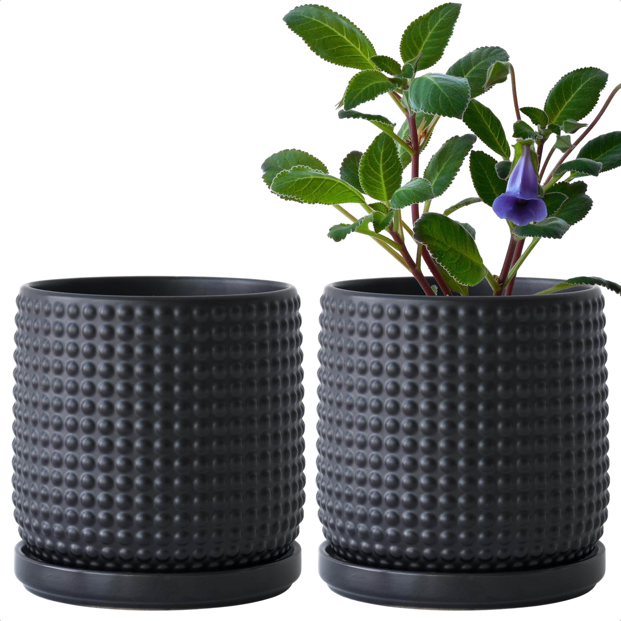 D'vine Dev front view ebony matte pot showing sleek silhouette and stylish appeal