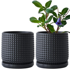 D'vine Dev front view ebony matte pot showing sleek silhouette and stylish appeal