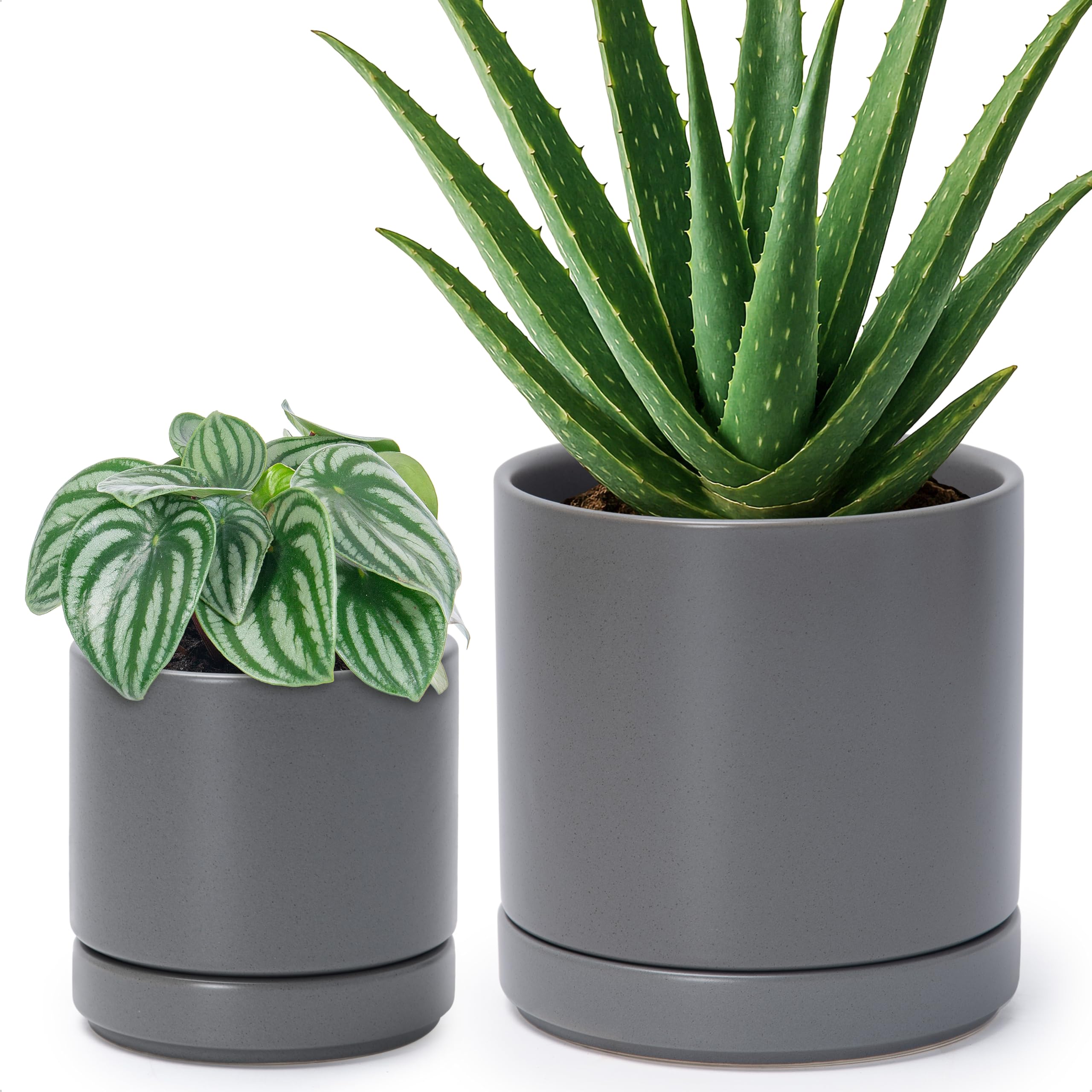 D'vine Dev front view of two grey ceramic pots showing modern aesthetic and balance