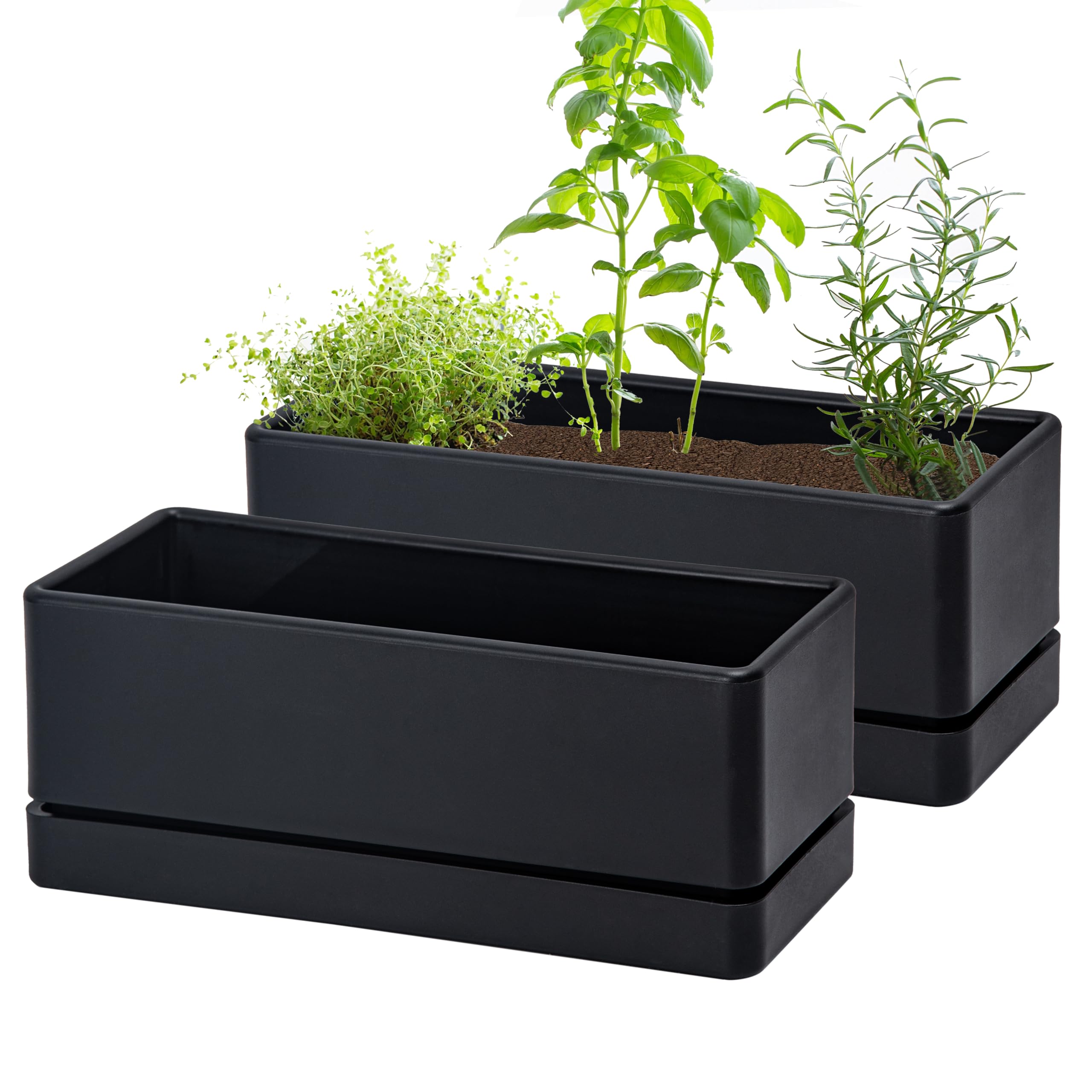 D'vine Dev front view of two planters showing compact window box design and versatility
