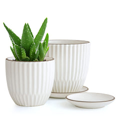 D'vine Dev front view of two ivory planters showing elegant finish and balance