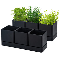 D'vine Dev front view of planter box showing sleek black design and neat herb layout