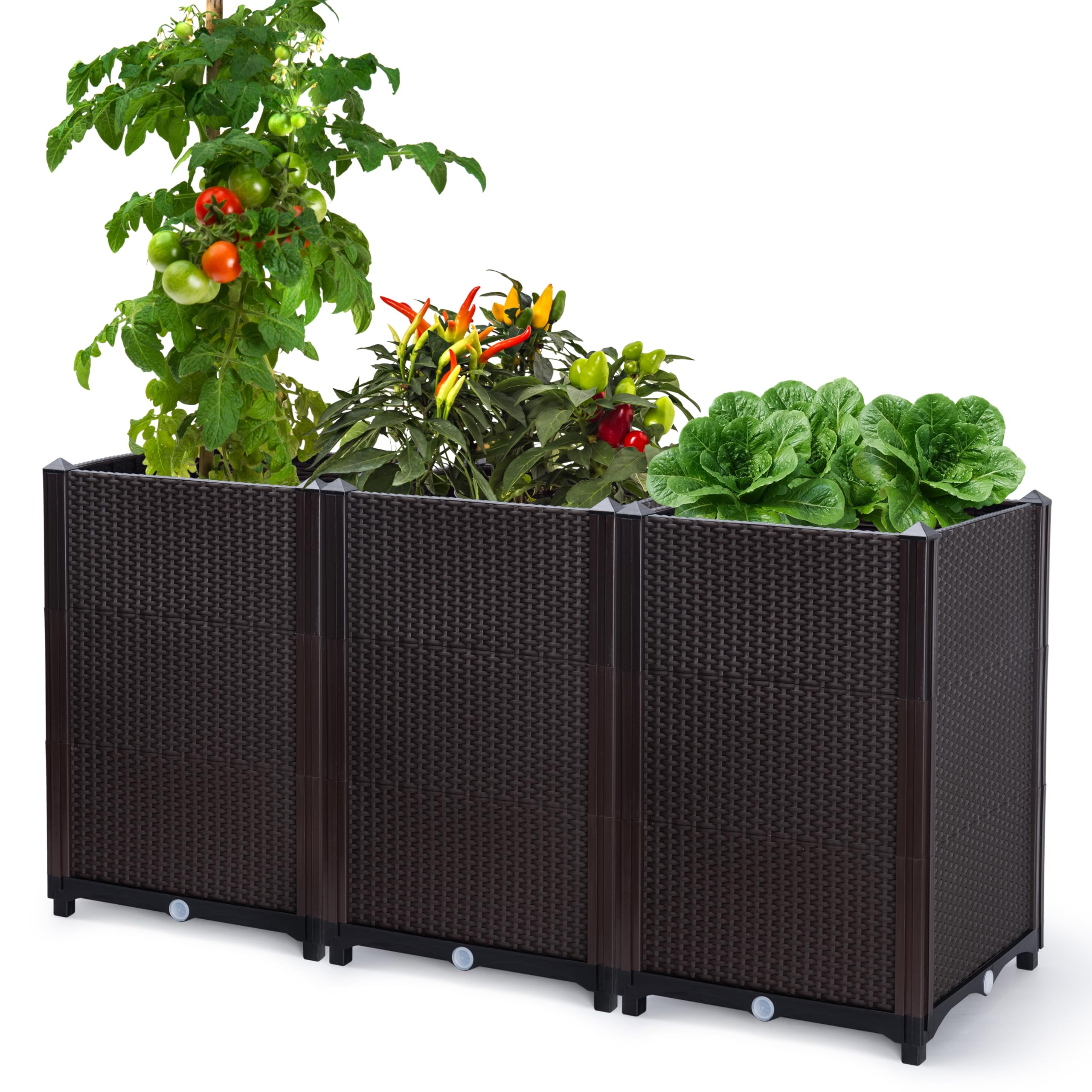 D'vine Dev front view of three-pack planter showing modular elevated beds and tidy footprint for compact spaces