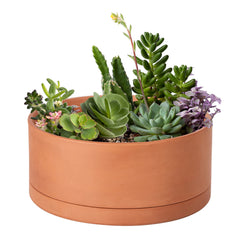 D'vine Dev front view of 10-inch terracotta planter showing minimalist shape and finish