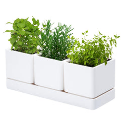 D'vine Dev front view of white three-pot planter set shows compact organization benefit
