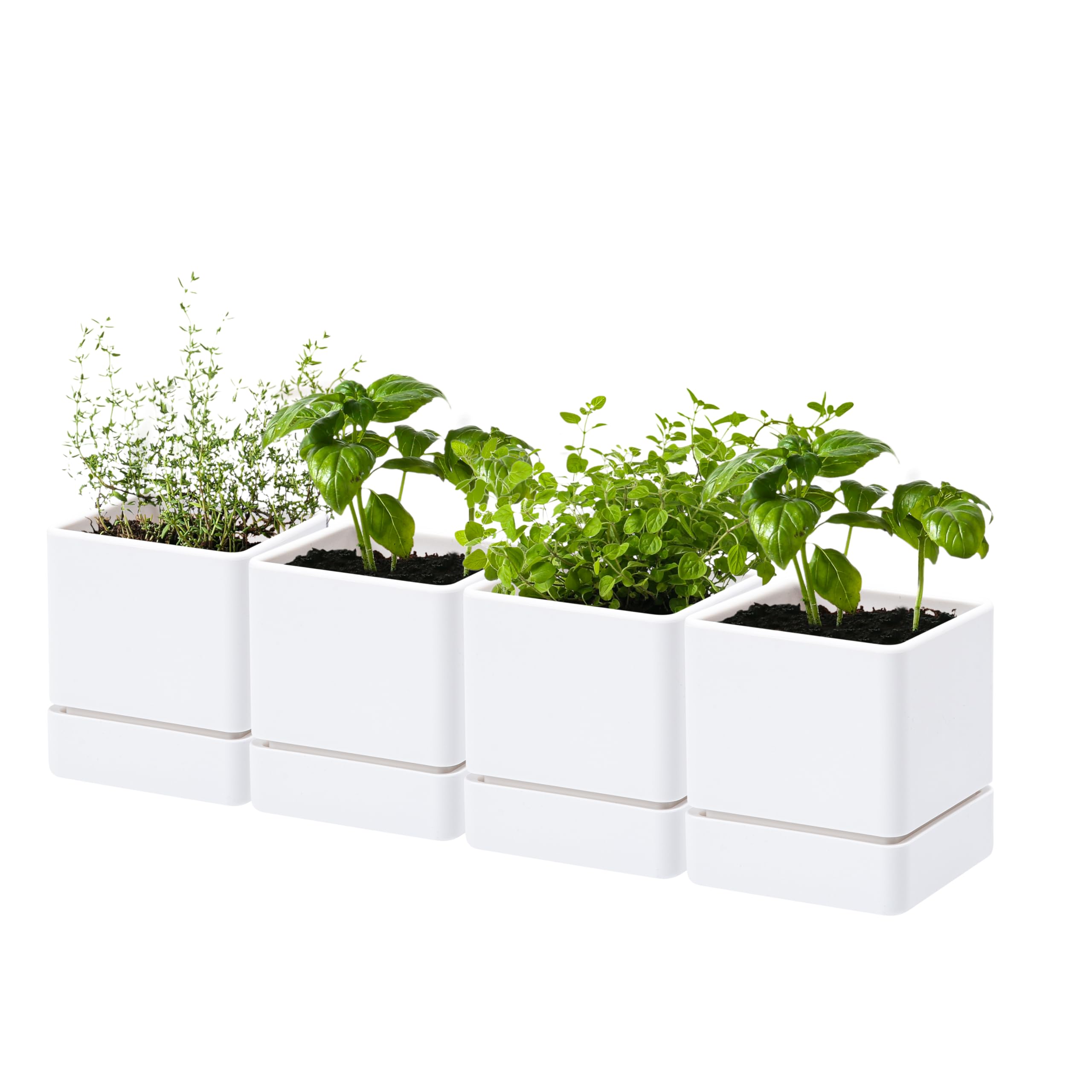 D'vine Dev front view of white planter showing clean lines and compact size for kitchens
