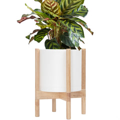 D'vine Dev front view white planter showing modern clean profile and aesthetic benefit