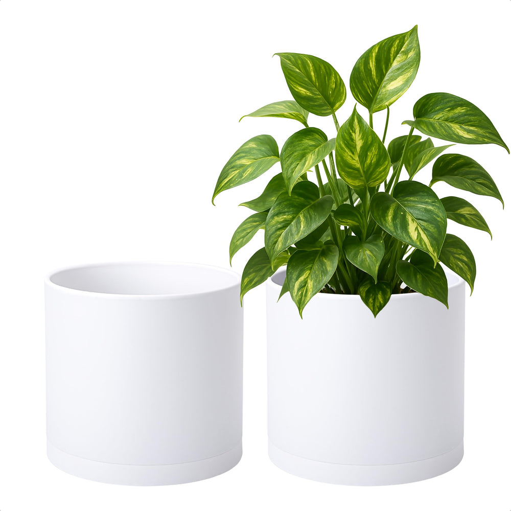 D'vine Dev front view of two white planters showing clean modern look and balance