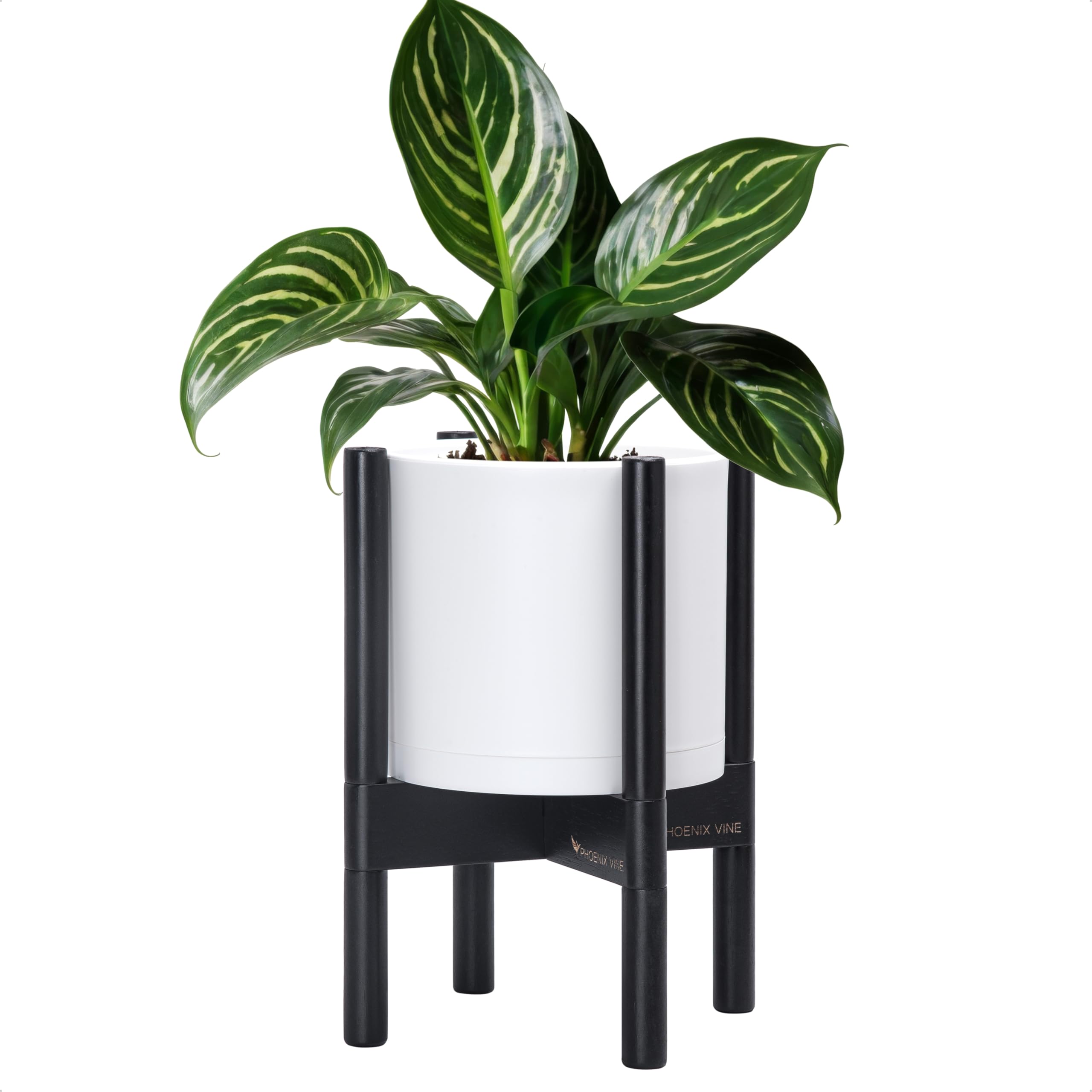 D'vine Dev front view white pot with ebony stand showcasing clean modern design
