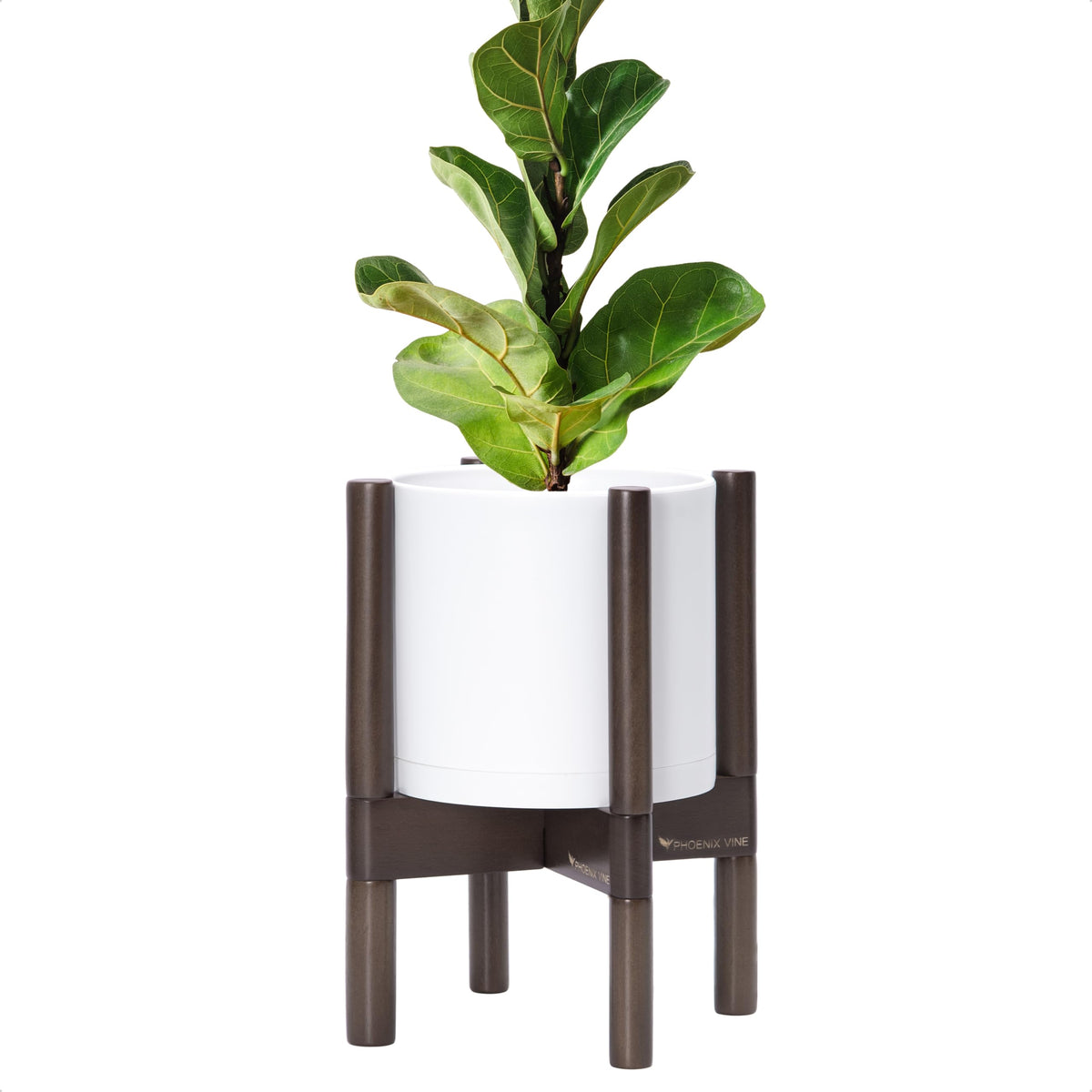 D'vine Dev front view white pot and walnut stand, modern styling benefit