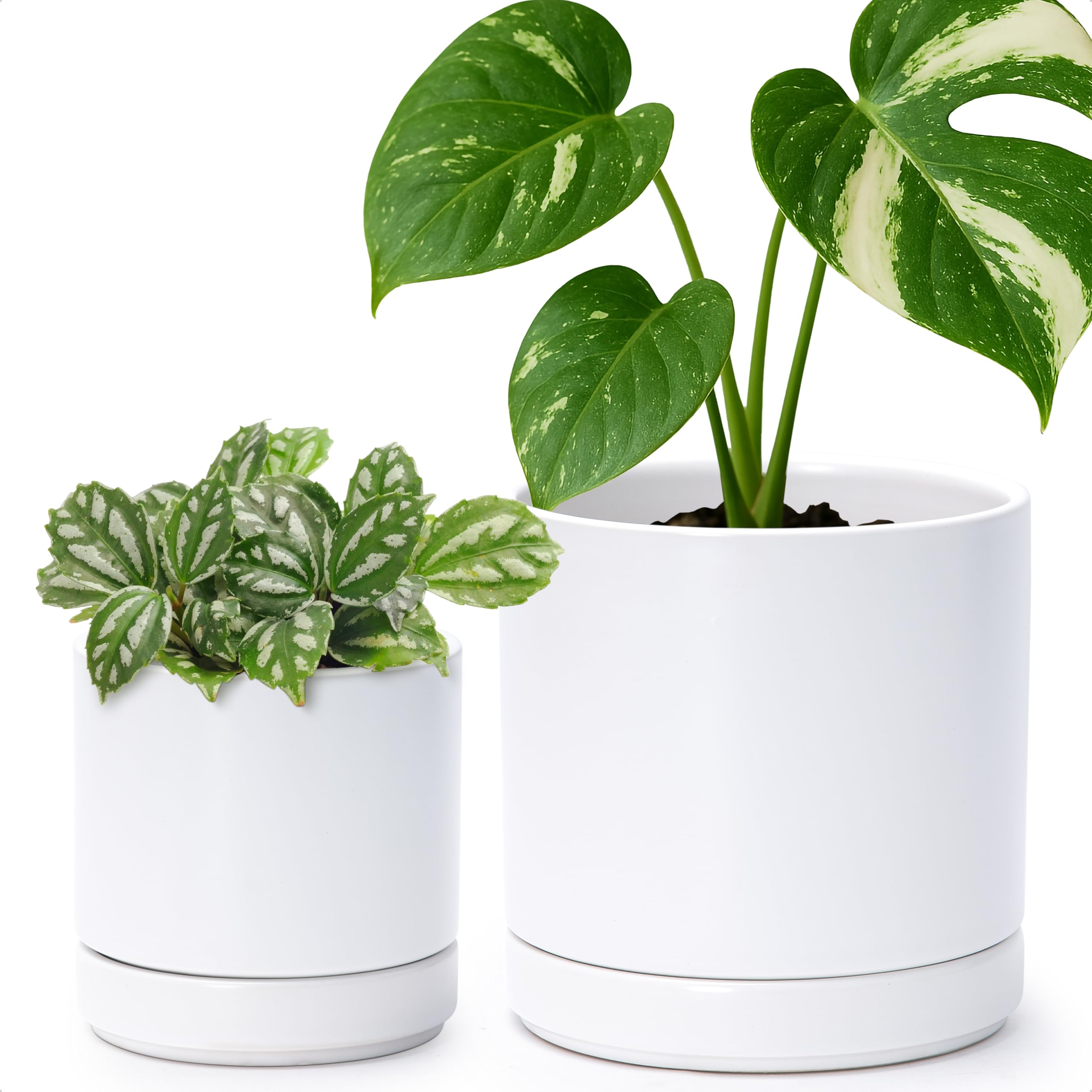 D'vine Dev front view of two white ceramic pots showing clean design and balance