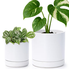 D'vine Dev front view of two white ceramic pots showing clean design and balance