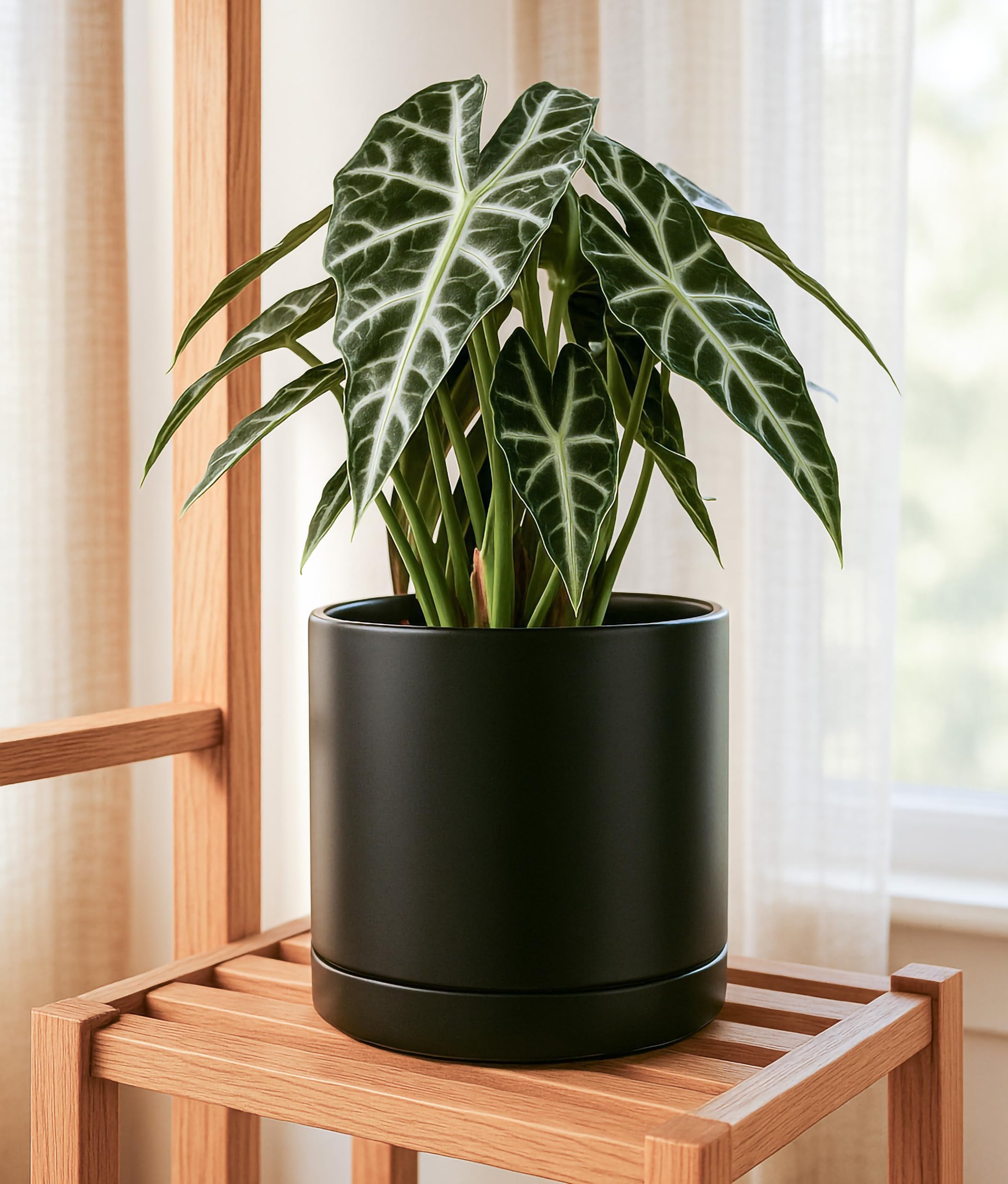 D'vine Dev glossy black glaze close-up highlighting durable finish and easy-clean benefit