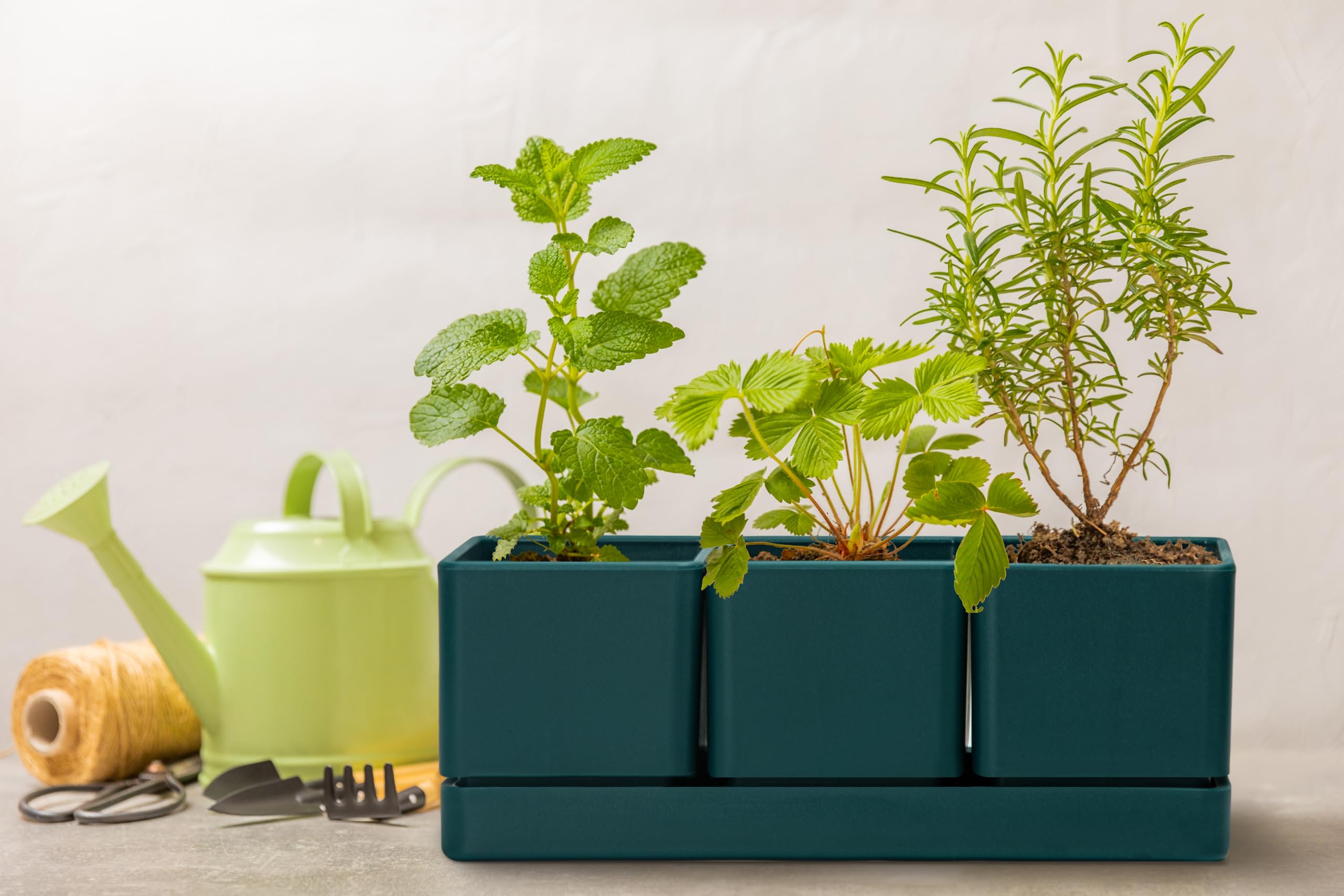 D'vine Dev pots with ready-to-harvest herbs illustrating fresh-cooking convenience