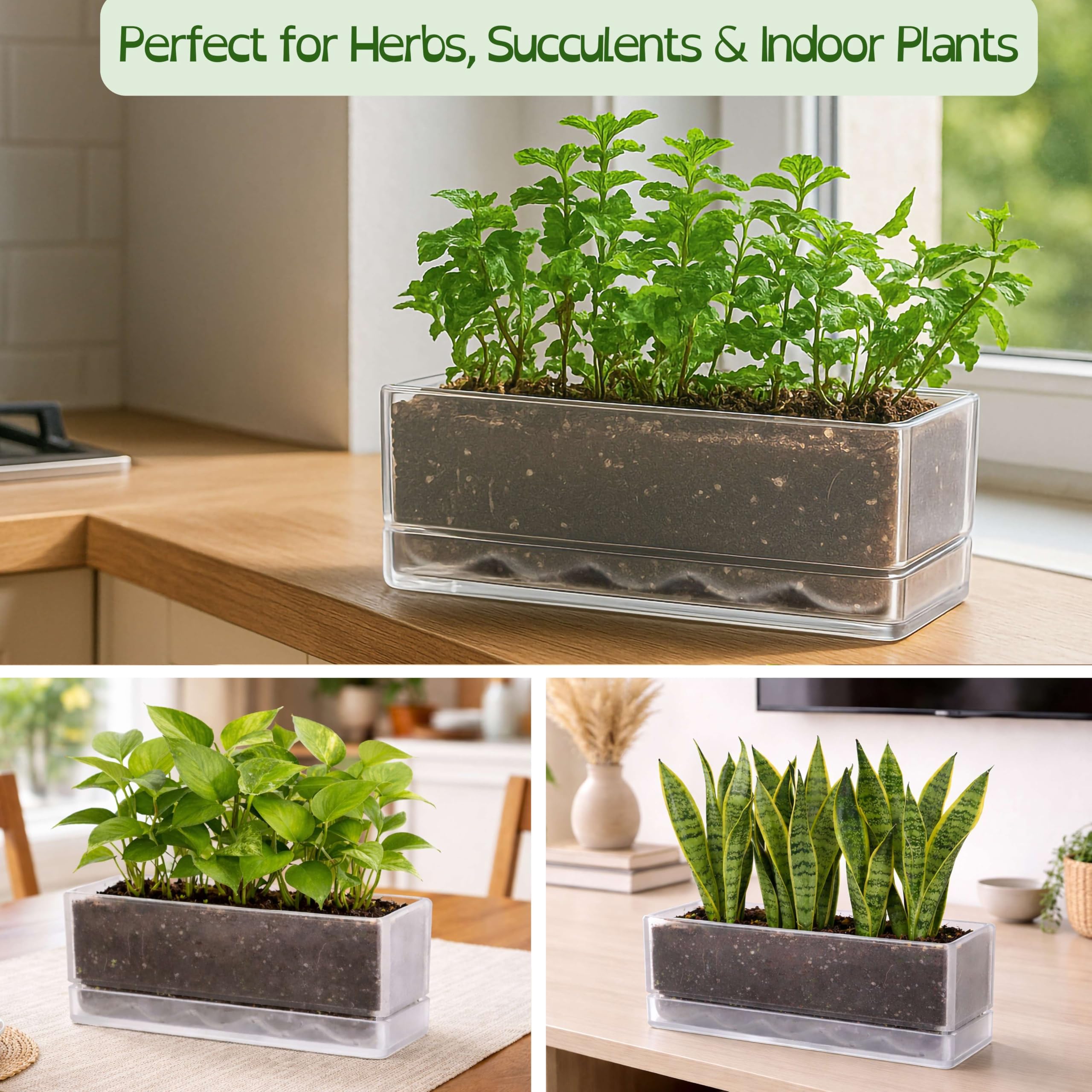 D'vine Dev on kitchen windowsill with herbs offering fresh-access convenience benefit
