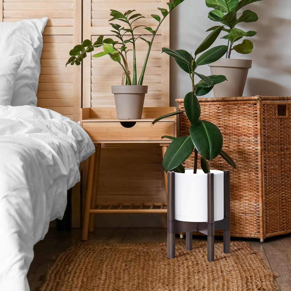 D'vine Dev in living room styling, elevates plants and complements décor