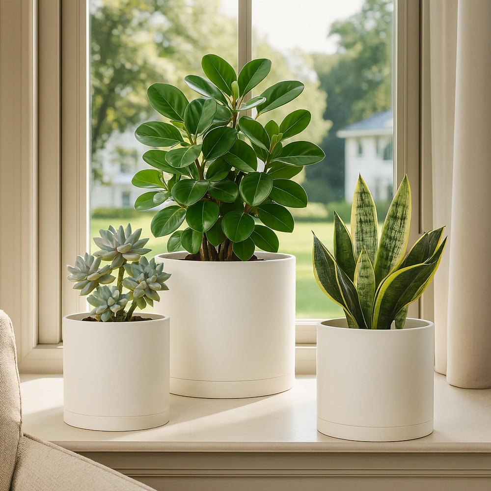 D'vine Dev 8-inch planter in use with foliage showing practical home styling