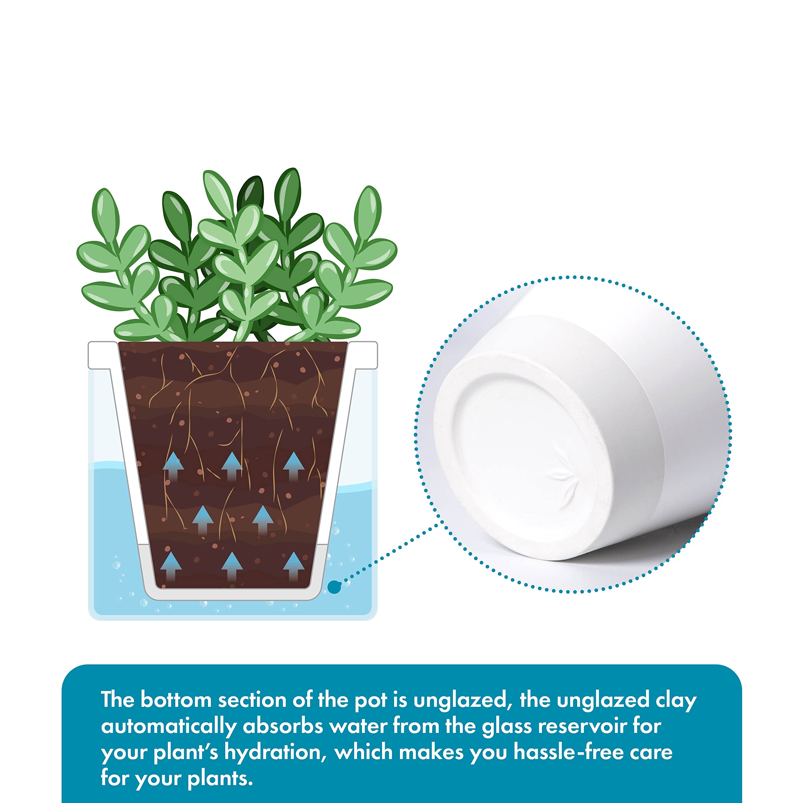 D'vine Dev planter in use on a desk with succulent, promoting low-maintenance indoor greenery