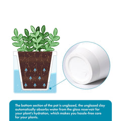 D'vine Dev planter in use on a desk with succulent, promoting low-maintenance indoor greenery
