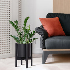D'vine Dev planter in living room showing elevated display and styling benefit