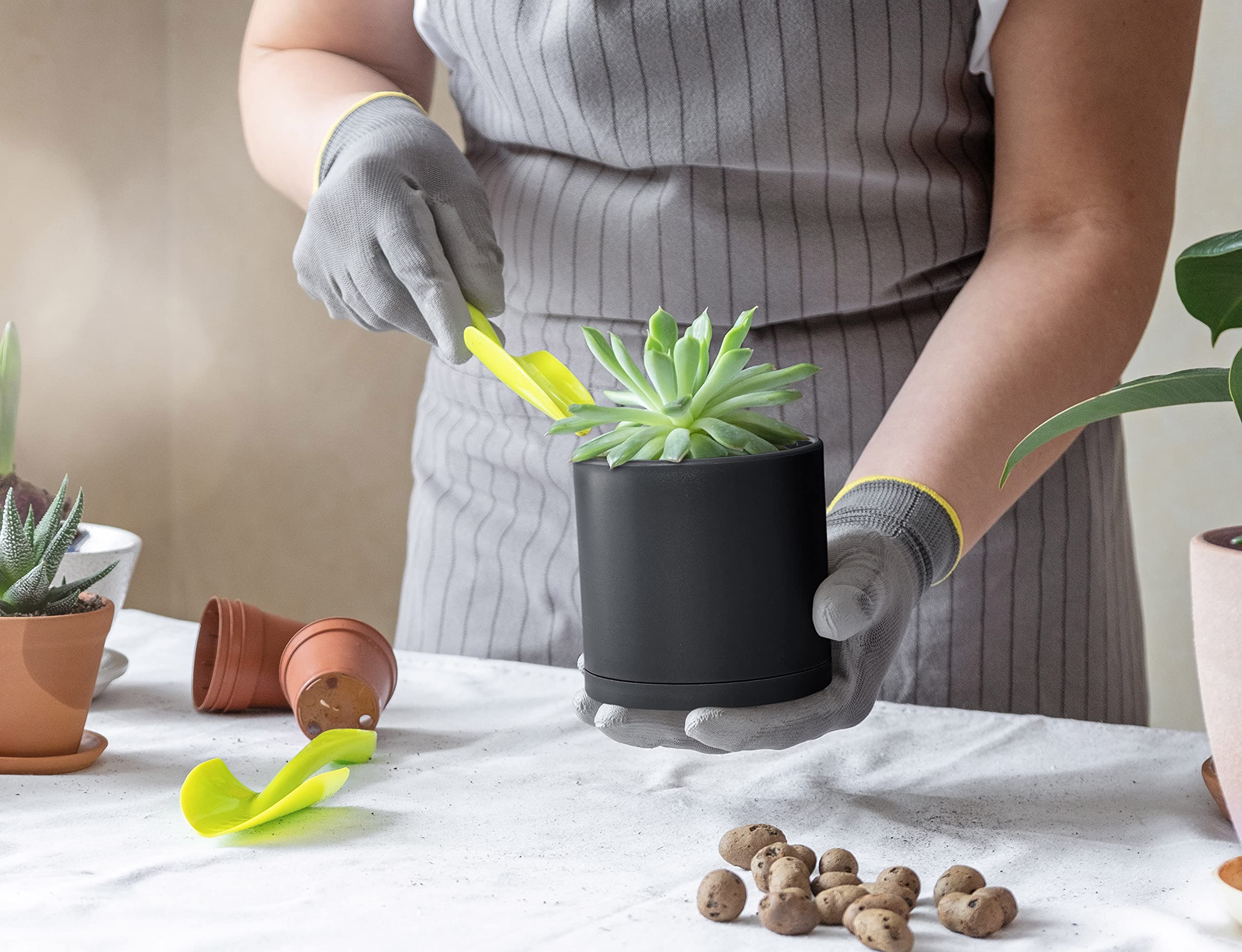 D'vine Dev pots in use on windowsill with succulents highlighting stylish home decor