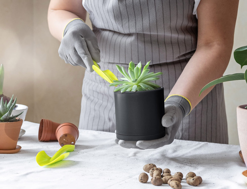 D'vine Dev pots in use on windowsill with succulents highlighting stylish home decor