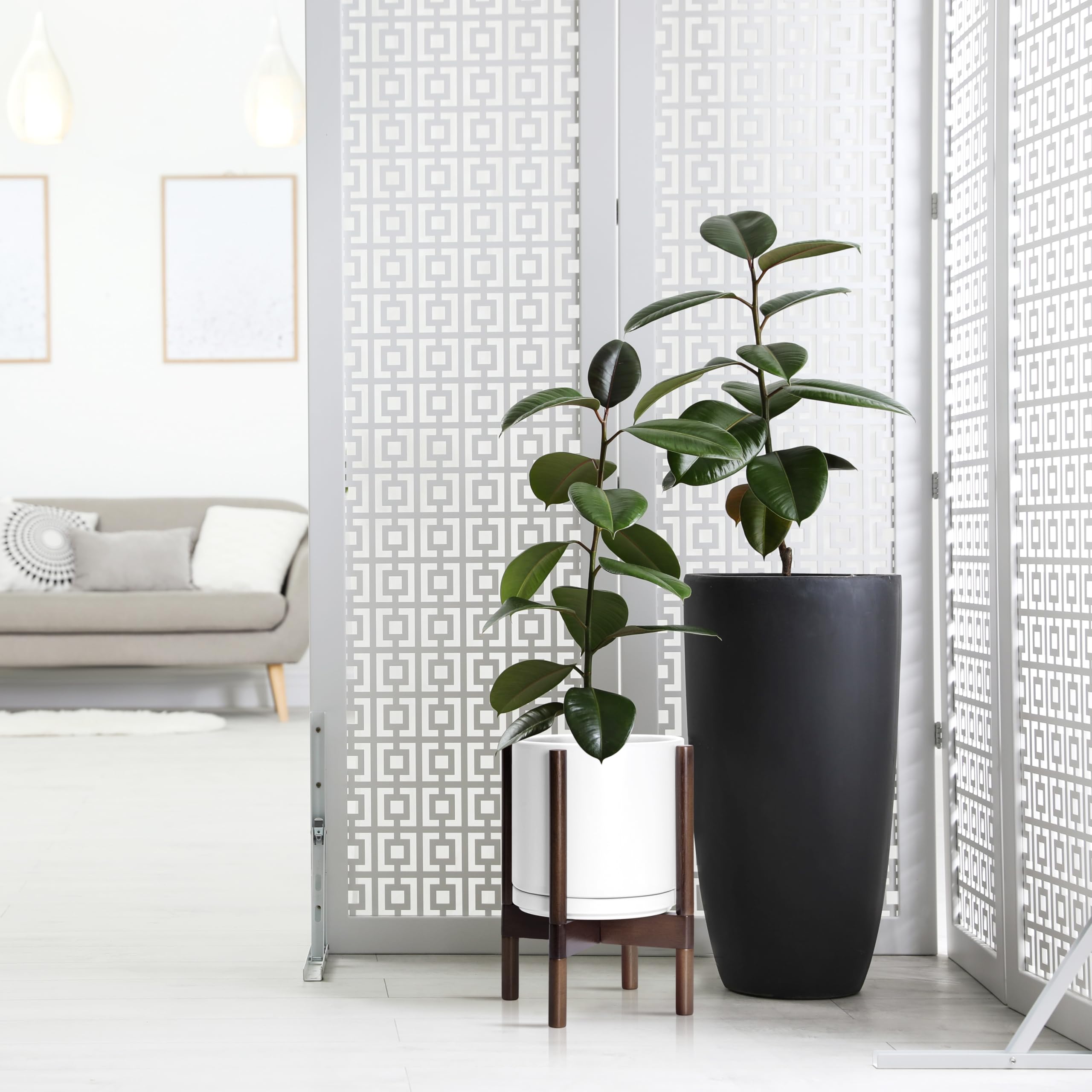 D'vine Dev planter in use with monstera demonstrating elevated plant presentation