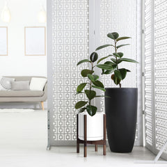 D'vine Dev planter in use with monstera demonstrating elevated plant presentation