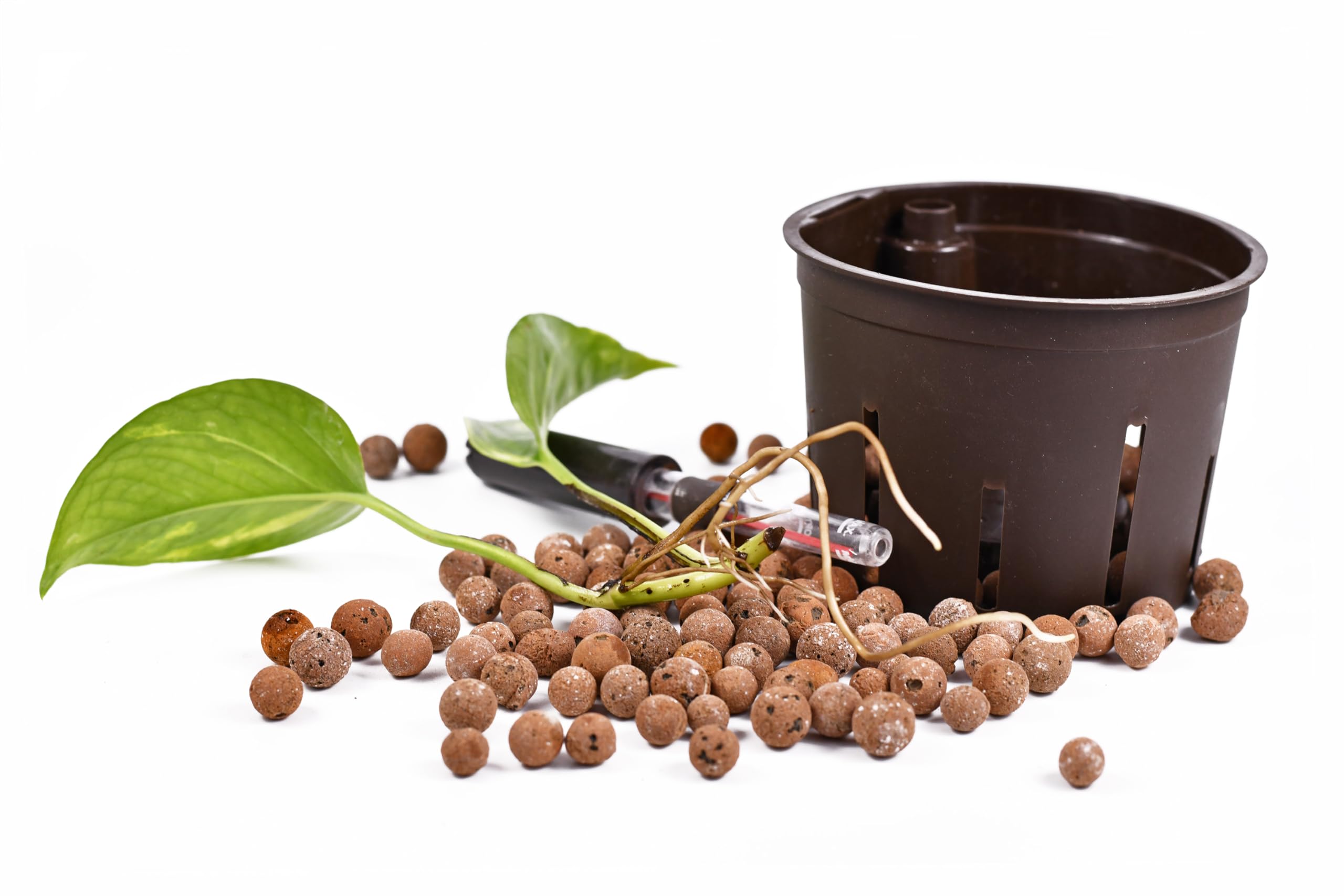 D'vine Dev LECA mixed into soil to increase porosity and water flow