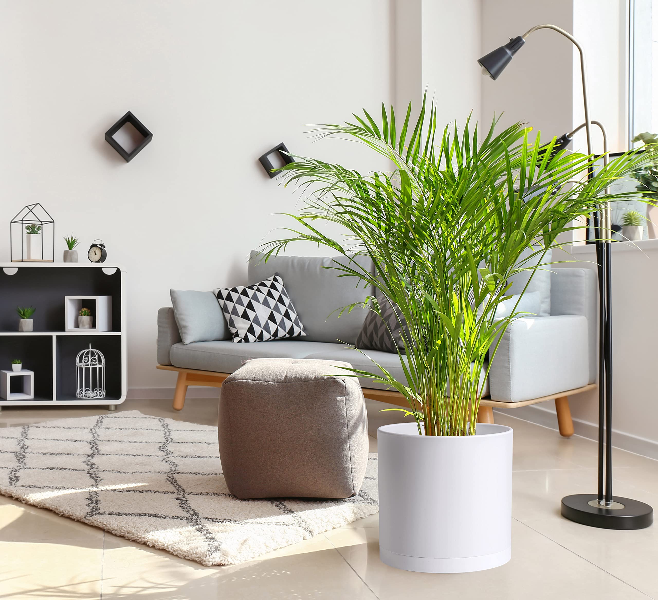 D'vine Dev on balcony with plants showing stylistic fit and outdoor-ready convenience