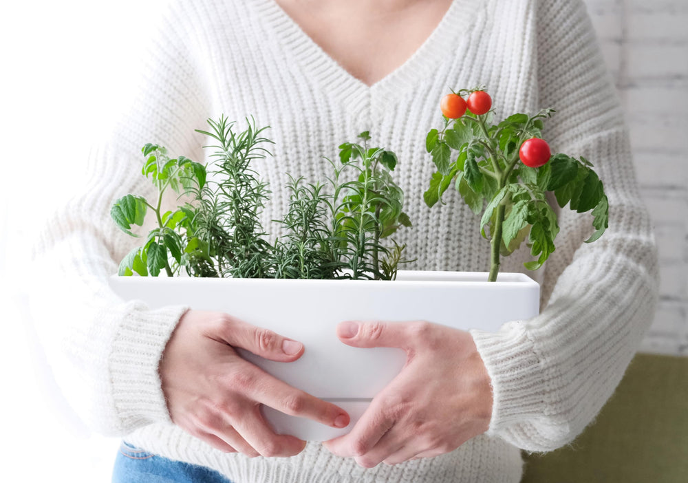 D'vine Dev on small balcony with plants adding greenery and space-saving