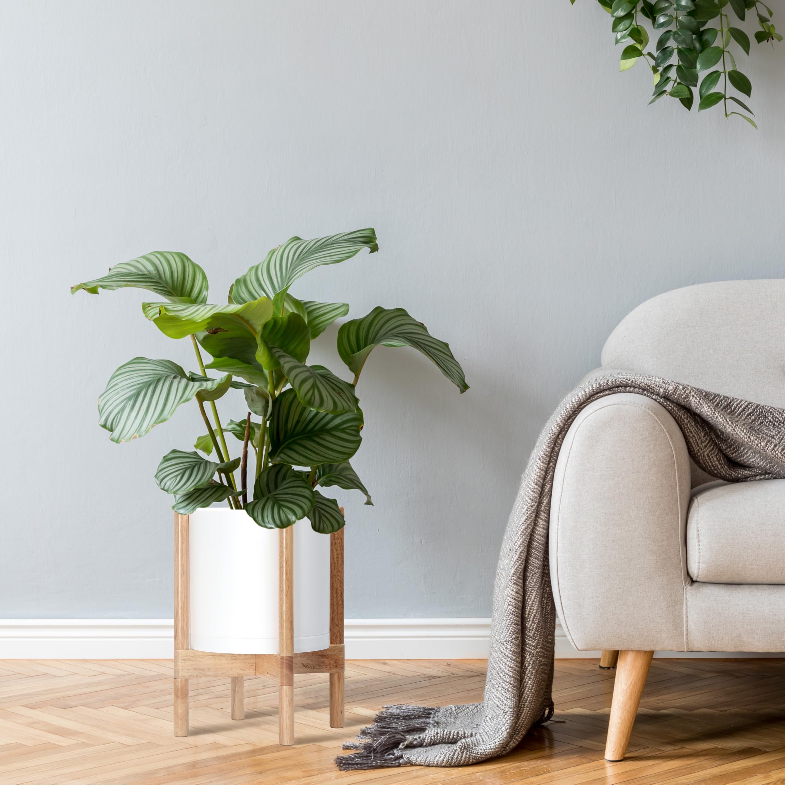 D'vine Dev lifestyle in entryway showing how brand enhances home décor and visibility