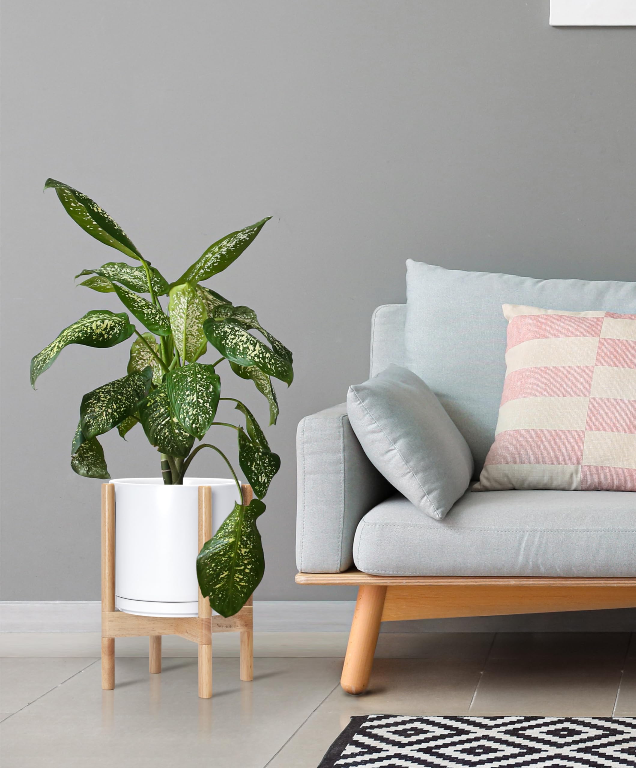 D'vine Dev in an entryway setting showing mid-century style and warm wood contrast