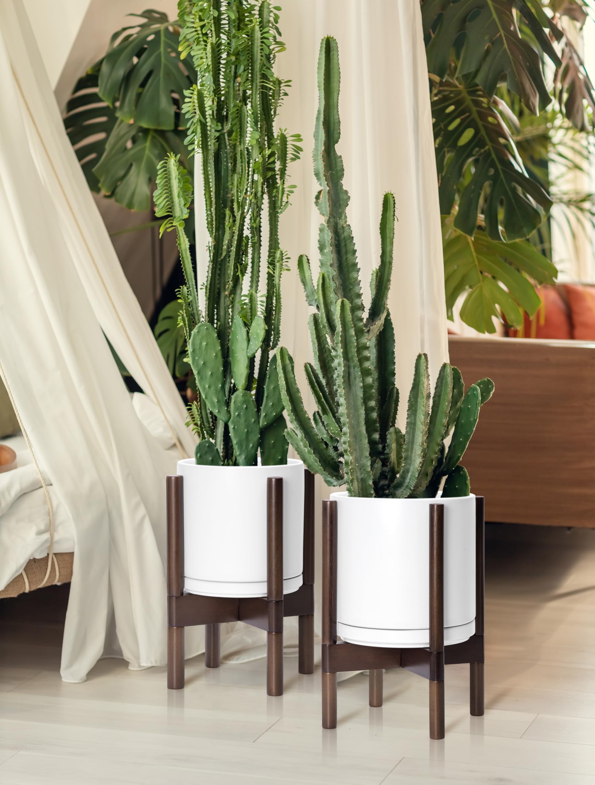 D'vine Dev styled in entryway illustrating cohesive modern mid-century decor