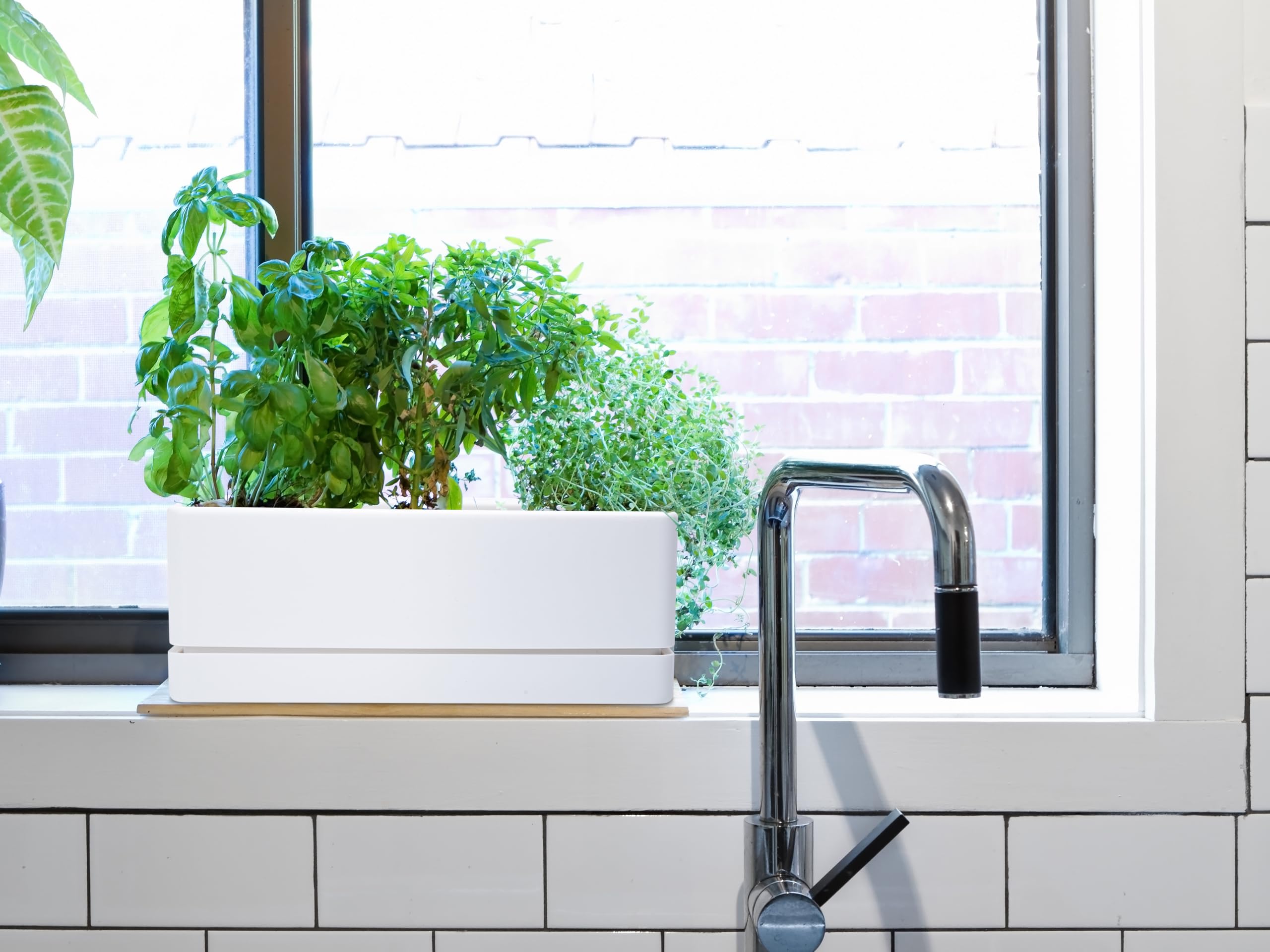 D'vine Dev planter on kitchen counter with herbs showing fresh-access convenience benefit