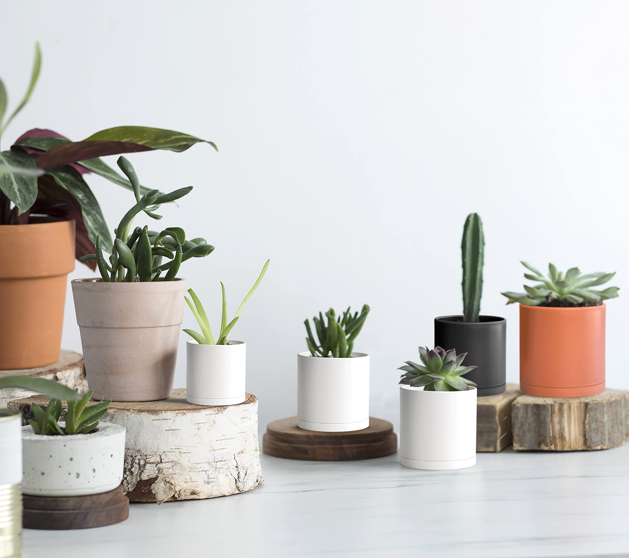 D'vine Dev pots styled on a shelf showing contemporary display benefit