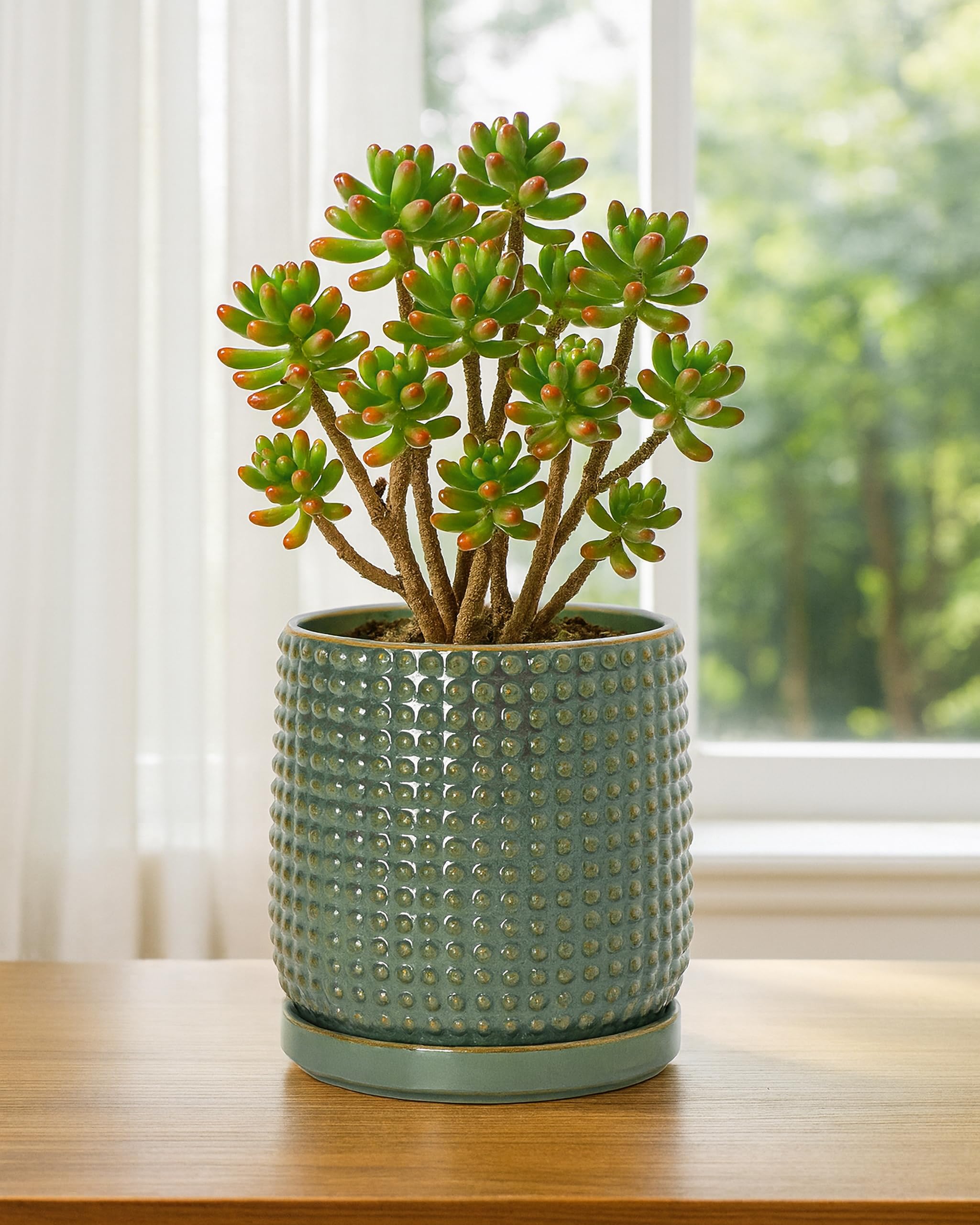 D'vine Dev olive planter on wooden shelf protecting surface and enhancing decor
