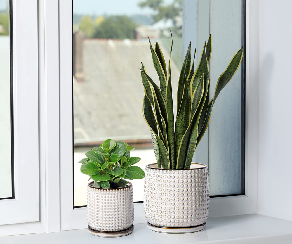 D'vine Dev planter in a living room display adding style and surface protection