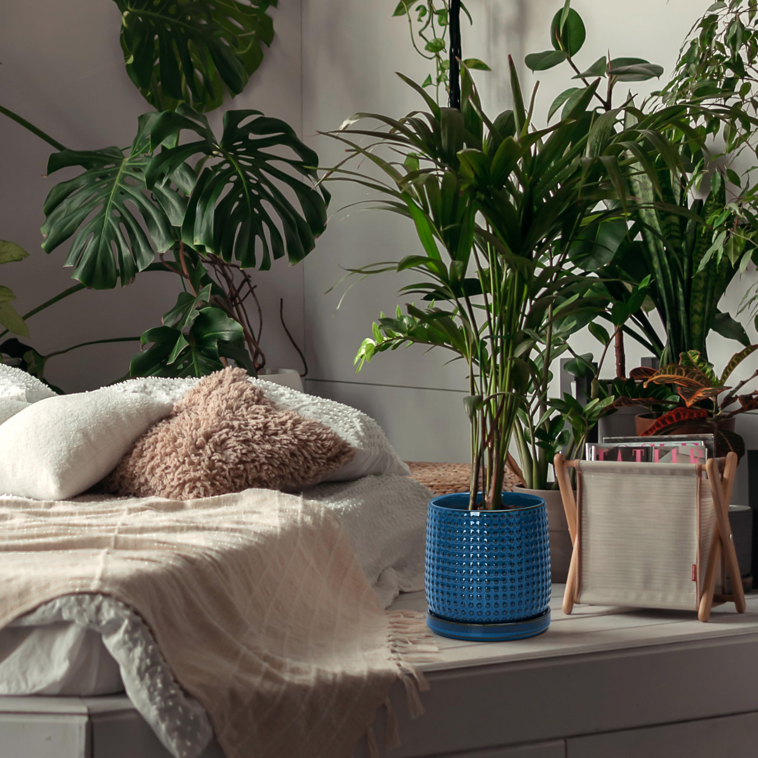D'vine Dev on shelf with plants illustrating decorative and functional benefit
