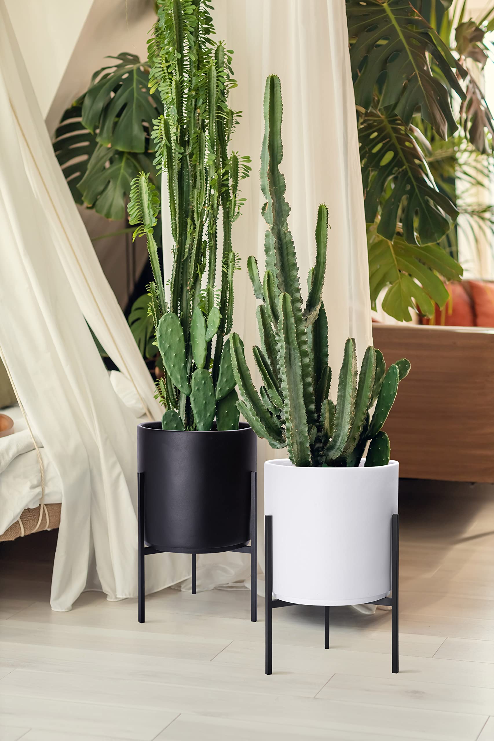D'vine Dev lifestyle staged on modern shelf enhancing contemporary decor