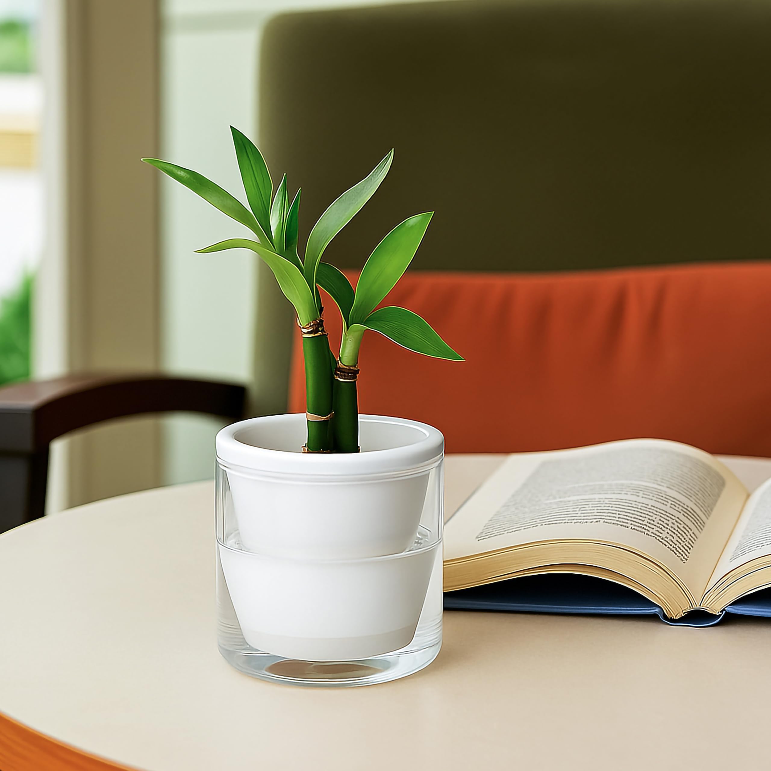 D'vine Dev trio arranged on a windowsill portraying natural light styling and modern décor appeal