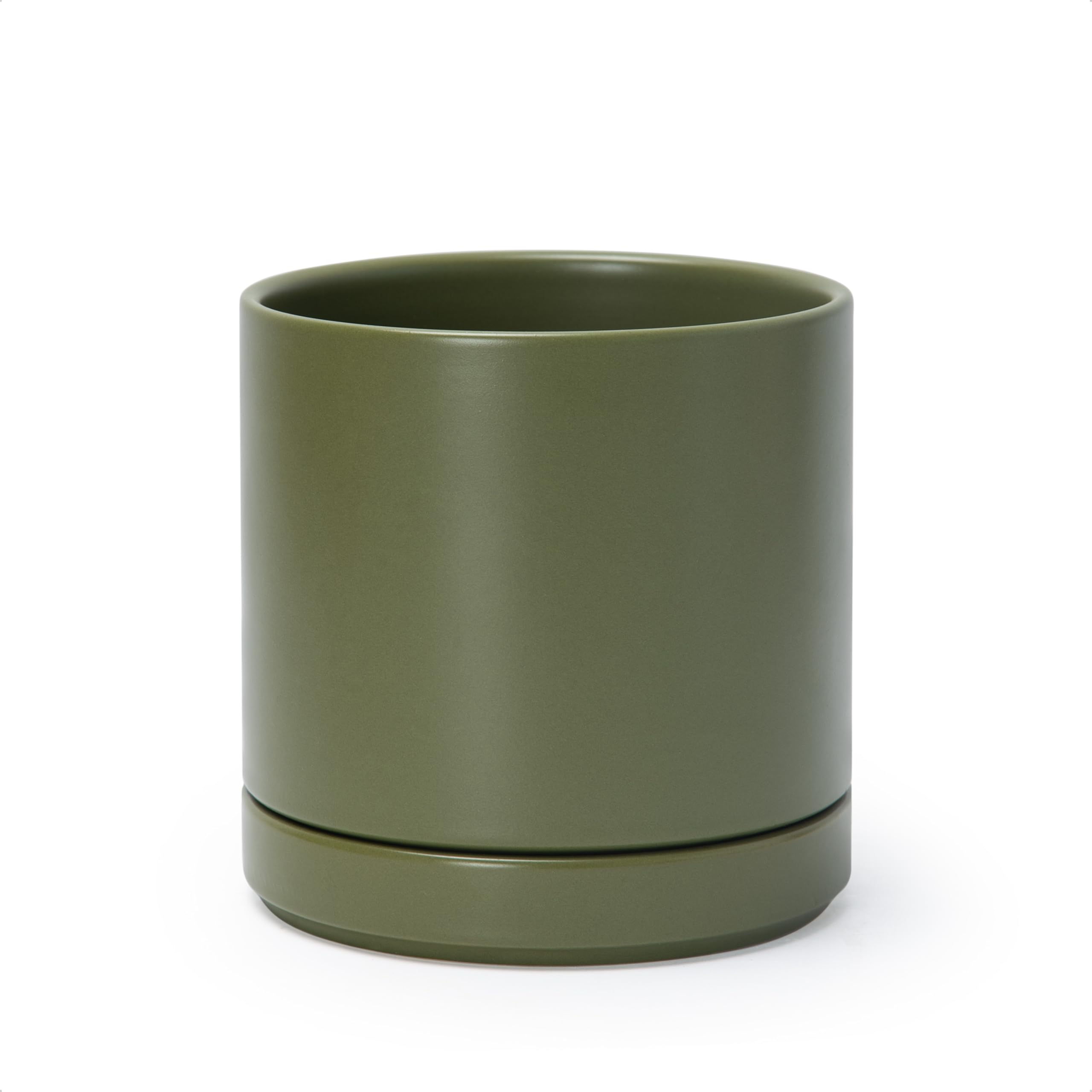 D'vine Dev front view of olive planter showing modern cylinder and balanced proportions