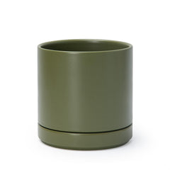 D'vine Dev front view of olive planter showing modern cylinder and balanced proportions