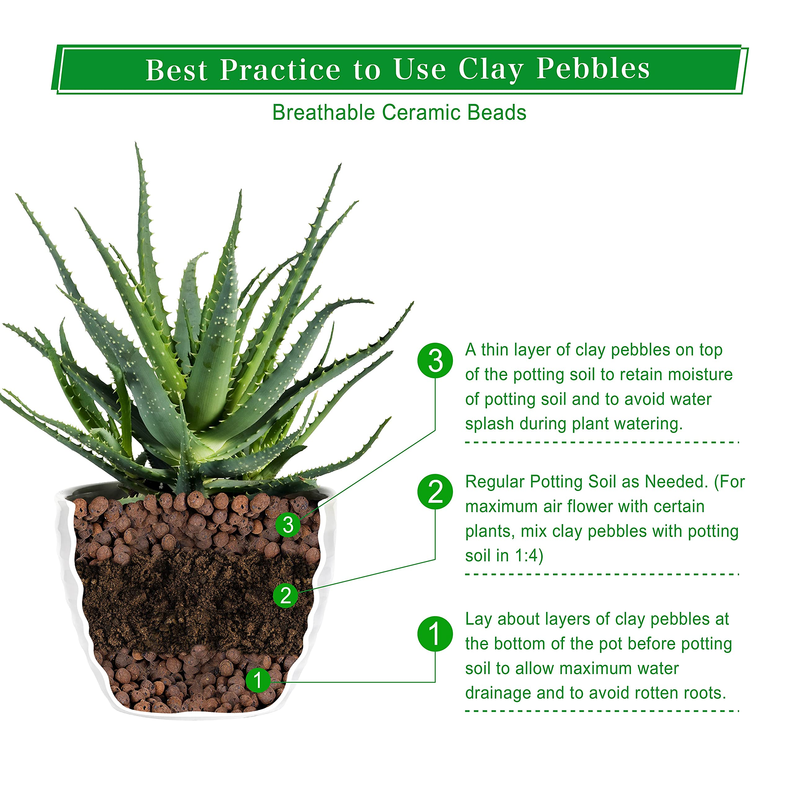 D'vine Dev pebbles layered at pot base improving drainage and root health