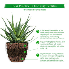 D'vine Dev pebbles layered at pot base improving drainage and root health