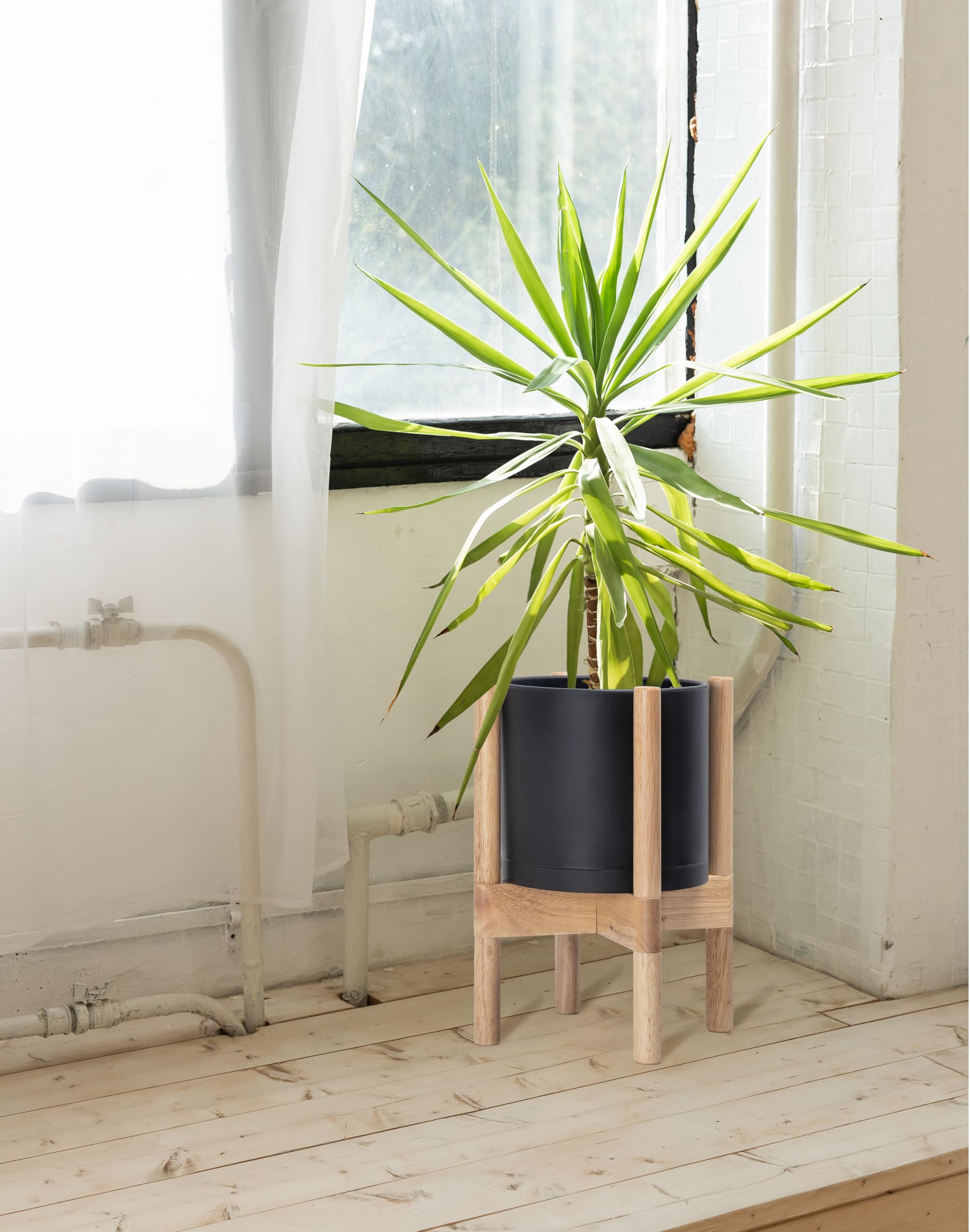 D'vine Dev planter in living room with plant illustrating stylish display benefit