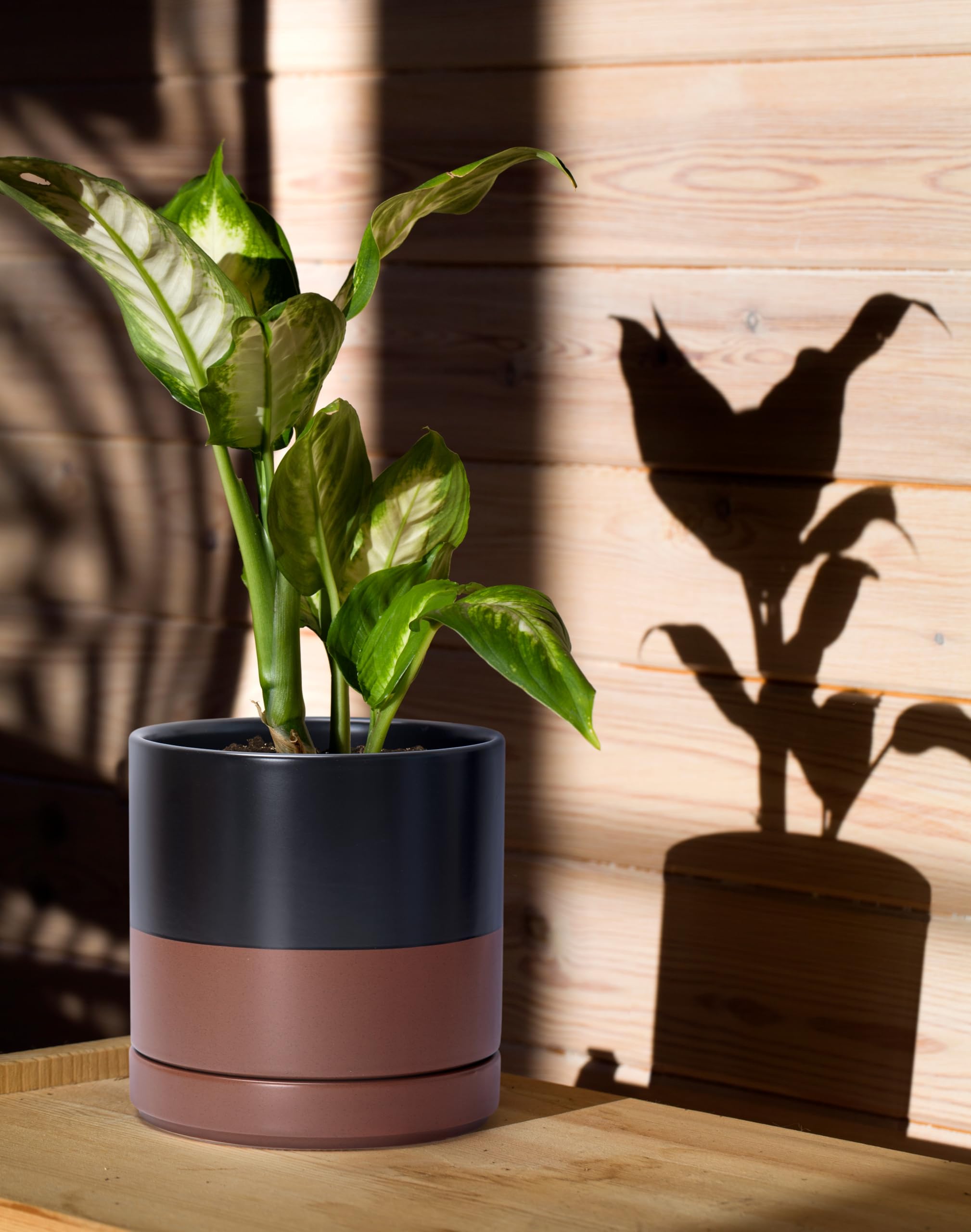 D'vine Dev close-up of glazed ceramic texture highlighting durable finish and easy cleaning