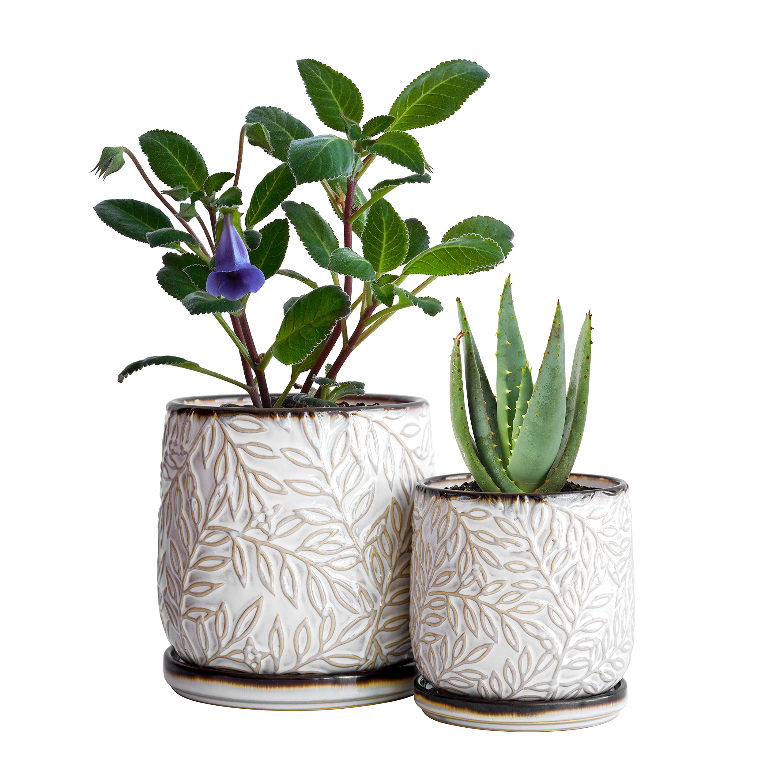 D'vine Dev front view smoked white planter set showing elegant finish and fit
