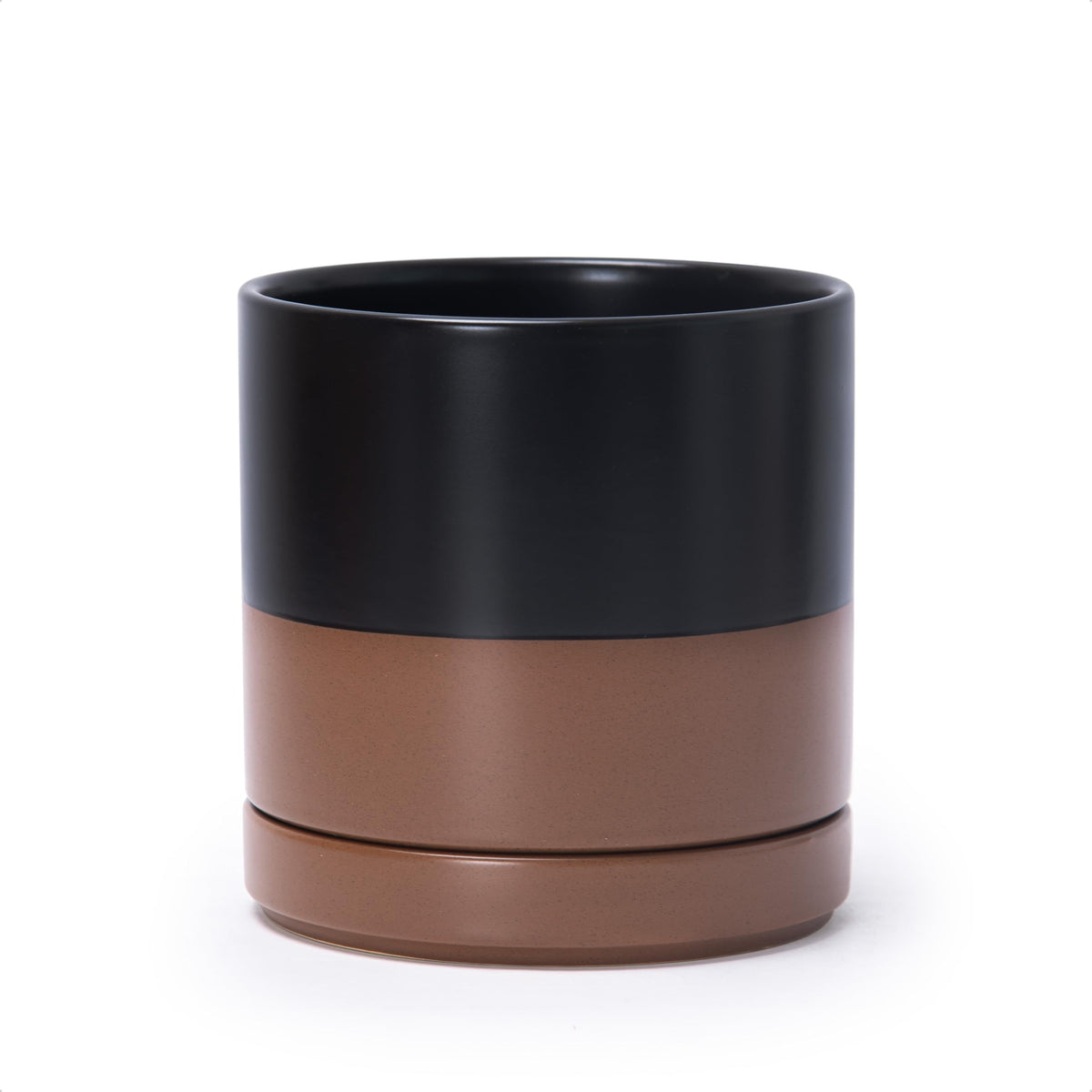 D'vine Dev front view of black tan ceramic planter showing sleek cylindrical shape and finish