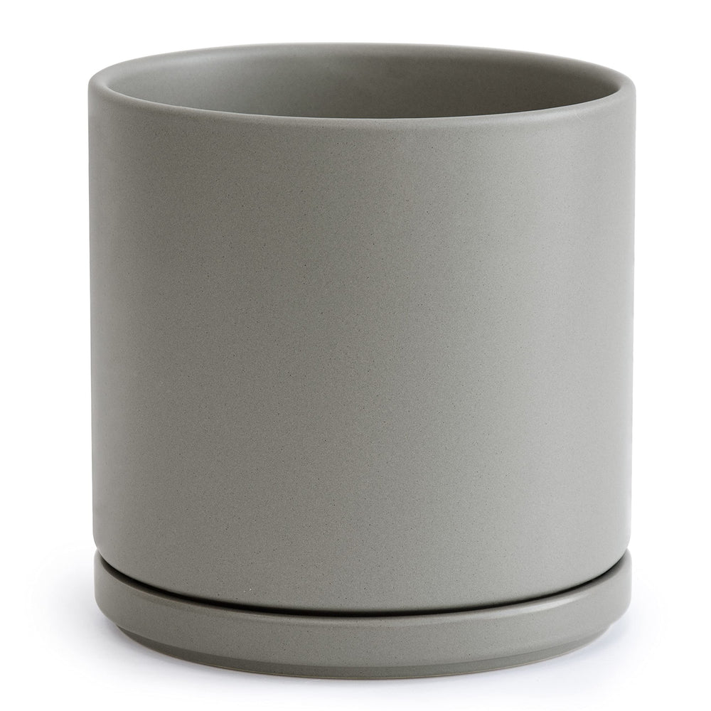 D'vine Dev front view of grey ceramic planter showing clean modern lines and elegance